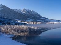 Ausblick vom östlichen Walchsee Rundweg mit Nebelschwaden am See